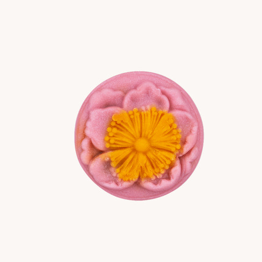Apricot flower(杏花)