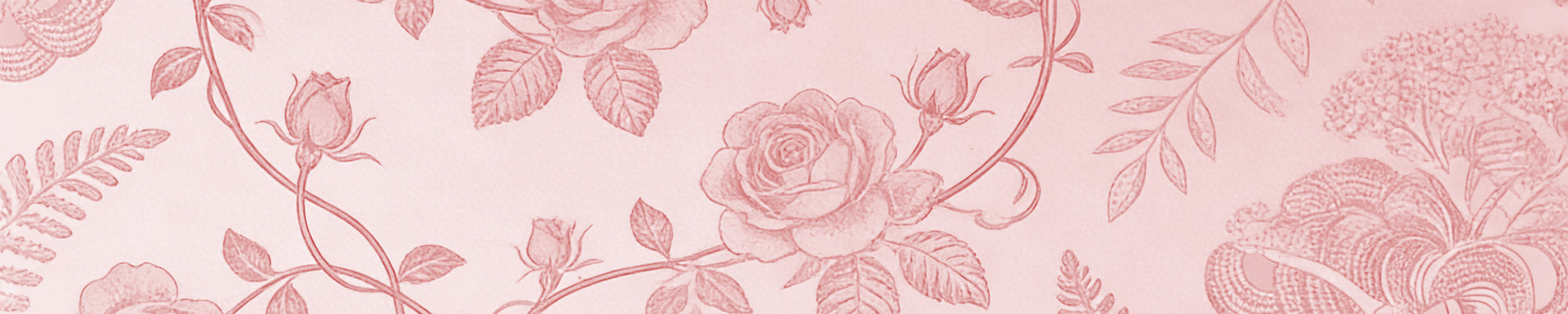 Newsletter background